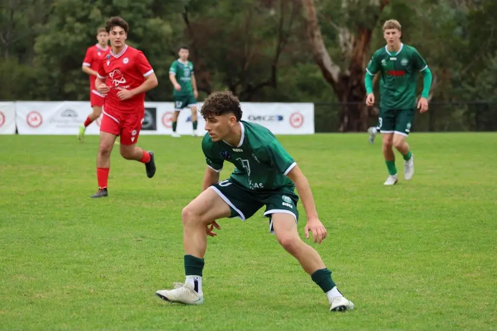 Josh Bigos in action during a match